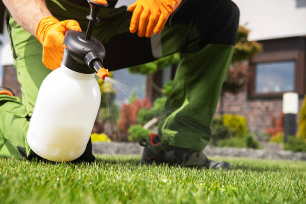 Pest Control for Restaurants in Fort Stewart, GA