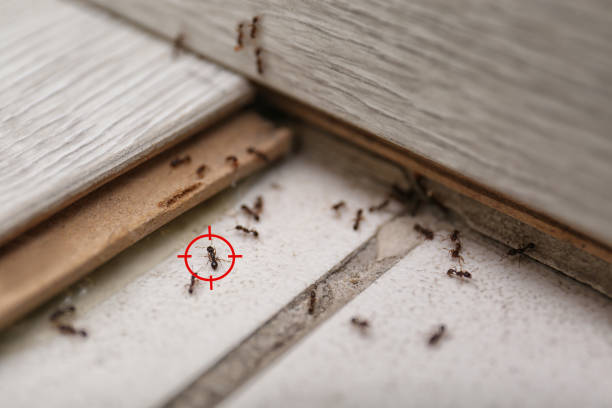 Pest Control Cost in Fort Stewart, GA