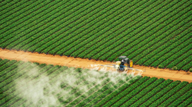 Best Commercial Pest Control Services  in Fort Stewart, GA
