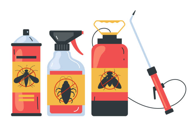 Best Spider Control Near Me  in Fort Stewart, GA