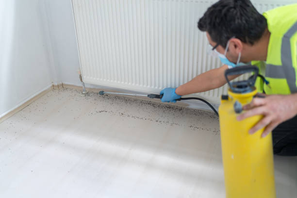Best Wasp Removal Services  in Fort Stewart, GA